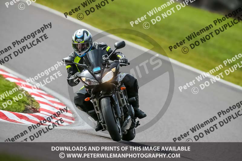 Oulton Park 21st March 2020;PJ Motorsport Photography 2020;anglesey;brands hatch;cadwell park;croft;donington park;enduro digital images;event digital images;eventdigitalimages;mallory;no limits;oulton park;peter wileman photography;racing digital images;silverstone;snetterton;trackday digital images;trackday photos;vmcc banbury run;welsh 2 day enduro